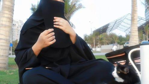 娱乐吃瓜君的原创